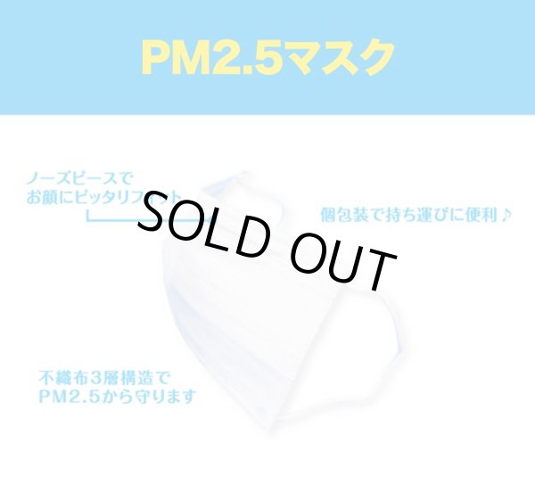 画像4: PM2.5対応 3層フィルター 販促マスク 5枚入(ポケット付きPP袋入れ)※チラシなし 1,000セット (4)